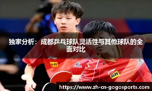 独家分析：成都乒乓球队灵活性与其他球队的全面对比