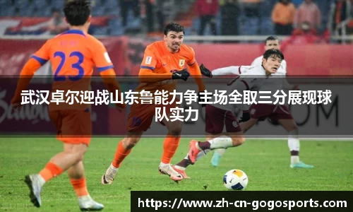 GoGo体育平台